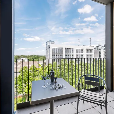 Campo Novo Business 3*